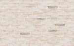 Клинкерный кирпич Petersen Tegl Bricks D71 Weiss, DNF 228x108x54 мм — изображение 2