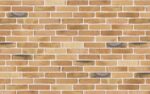 Клинкерный кирпич Petersen Tegl Bricks D31, DNF 228x108x54 мм — изображение 2
